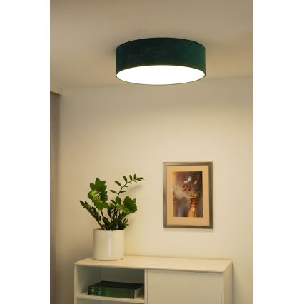 Duolla - LED Плафониера CORTINA LED/26W/230V Ø 30 см 4000K  зелен
