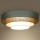 Duolla - LED Плафониера LUNETA LED/26W/230V Ø 60 см 4000K тюркоаз/бежов/кремав