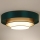 Duolla - LED Плафониера LUNETA LED/26W/230V Ø 60 см 4000K зелен/златист/бял