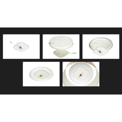 Duolla - LED Плафониера LUNETA LED/26W/230V Ø 60 см 4000K зелен/златист