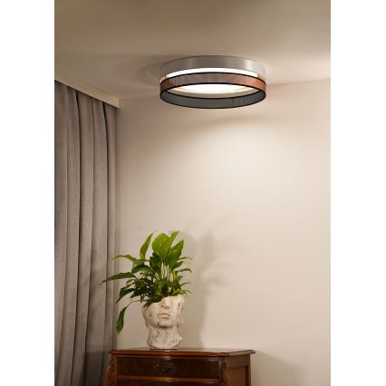 Duolla - LED Плафониера ROLLER DUO SHINY LED/24W/230V Ø 45 см бял/меден