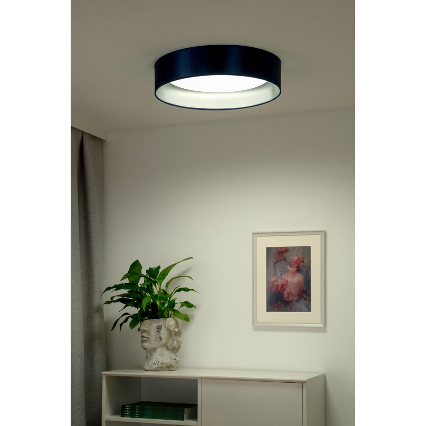 Duolla - LED Плафониера ROLLER LED/24W/230V Ø 45 см син/сребрист