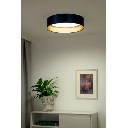 Duolla - LED Плафониера ROLLER LED/24W/230V Ø 45 см син/златист