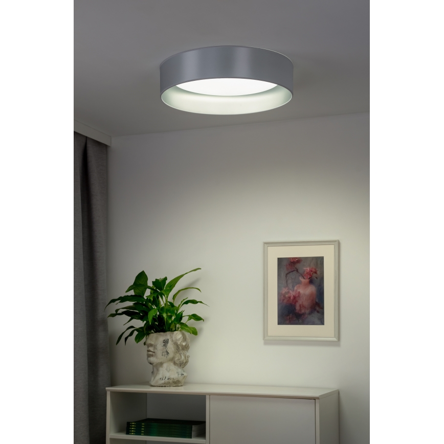 Duolla - LED Плафониера ROLLER LED/24W/230V Ø 45 см сребрист