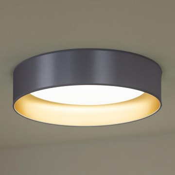 Duolla - LED Плафониера ROLLER LED/24W/230V Ø 45 см сребрист/златист