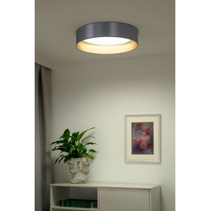Duolla - LED Плафониера ROLLER LED/24W/230V Ø 45 см сребрист/златист