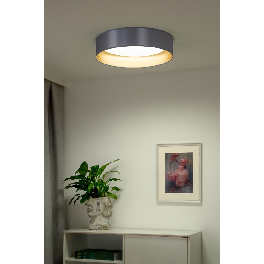Duolla - LED Плафониера ROLLER LED/24W/230V Ø 45 см сребрист/златист