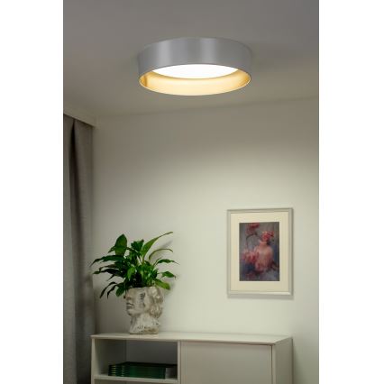 Duolla - LED Плафониера ROLLER LED/24W/230V Ø 45 см сребрист/златист