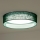 Duolla - LED Плафониера ROLLER LED/24W/230V Ø 45 см зелен