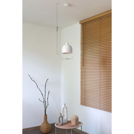 Duolla - Подвесна лампа на кабел IRONLINE 1xE27/15W/230V Ø 17 см, бяла