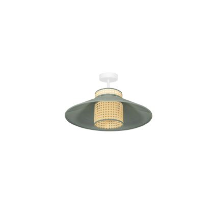 Duolla - Полилей за повърхностен монтаж RIO RATTAN 1xE27/15W/230V Ø 45 см зелен/ратан