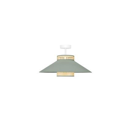 Duolla - Полилей за повърхностен монтаж RIO RATTAN 1xE27/15W/230V Ø 45 см зелен/ратан