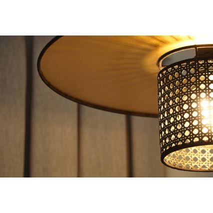 Duolla - Полилей за повърхностен монтаж TOKYO RATTAN 1xE27/15W/230V Ø 50 см златист/черен