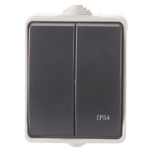 Домашен сериен превключвател 250V / 10A IP54