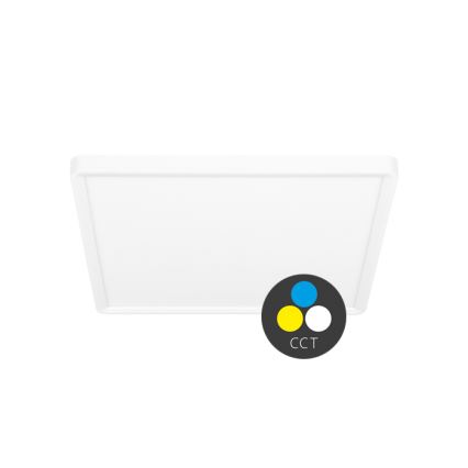 LED Плафониера TERY LED/24W/230V 3000/4000/6000K 30x30 см IP40 бял