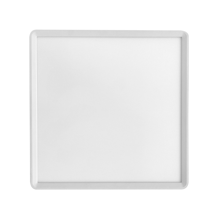 LED Плафониера TERY LED/32W/230V 3000/4000/6000K 40x40 см IP40 бял