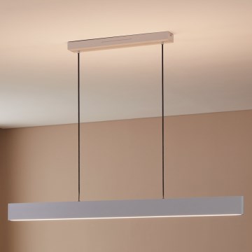 Eglo 31436 - LED RGBW Димируем пендел ANDREAS-Z LED/38W/230V 2700-6500K бял