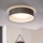 Eglo 31623 - LED таванно осветително тяло MASERLO LED/16W/230V 3000K диам. 40,5 см сиво/сребристо