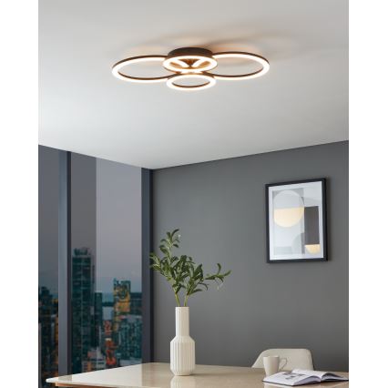 Eglo 31769 - LED Димируем плафон PARRAPOS-Z LED/41W/230V 3000-6500K черен