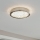 Eglo 32047 - LED таванно осветително тяло AREZZO 2 LED/17,92W/230V