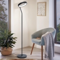 Eglo 32327 - LED RGBW димируема подова лампа MARGHERA-C LED/15,5W/230V 2700-6500K черна