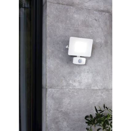 Eglo - LED Рефлектор със сензор LED/20W/230V IP44