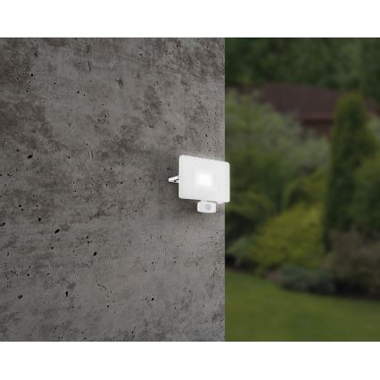 Eglo - LED Рефлектор на сензор LED/50W/230V IP44