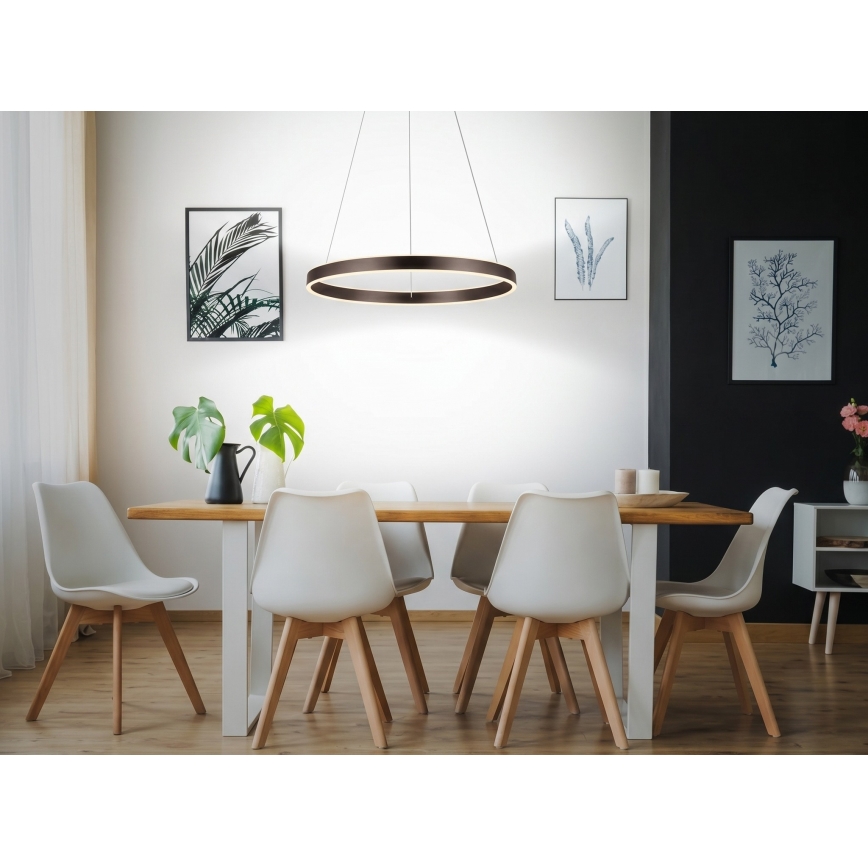 Eglo 33483 - LED полилей на кабел ALCAZABA 2xLED/18W/230V 3000K Ø 55 cm бронзов
