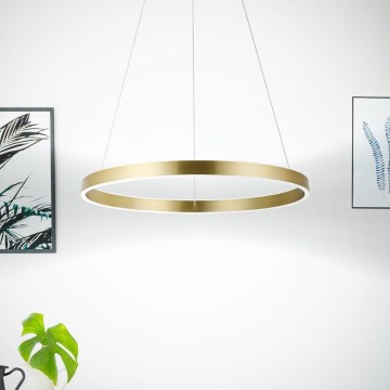 Eglo 33484 - LED полилей на кабелно окачване ALCAZABA 2xLED/18W/230V 3000K Ø 55 см златист