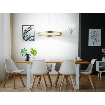 Eglo 33484 - LED полилей на кабелно окачване ALCAZABA 2xLED/18W/230V 3000K Ø 55 см златист