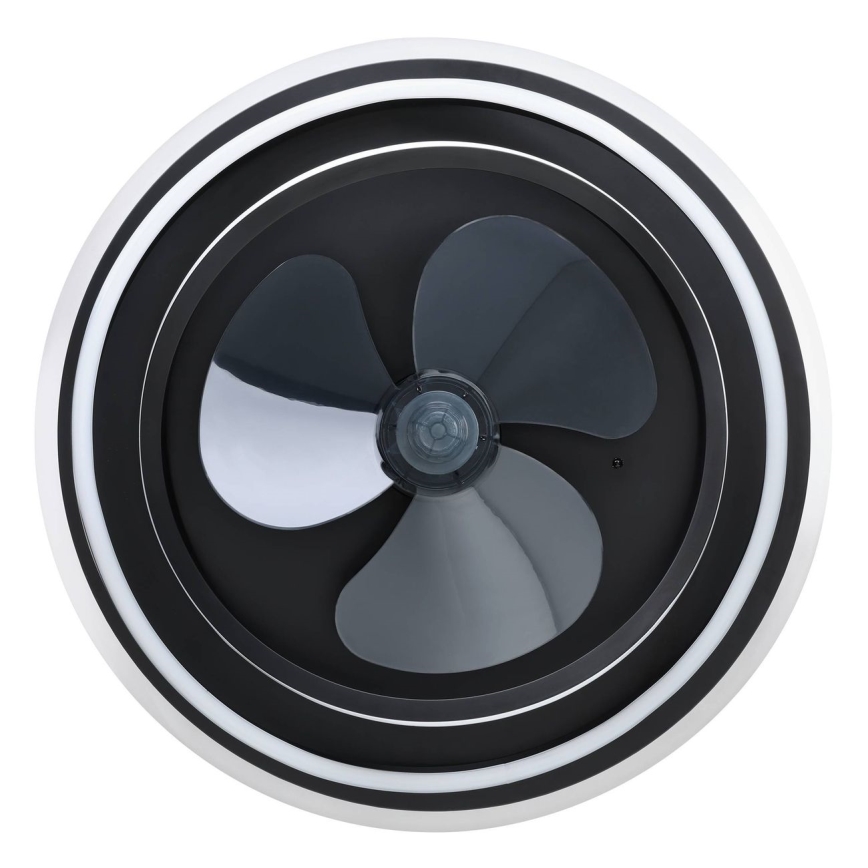 Eglo - LED димируем таванен вентилатор 4xLED/9W/230V 2700–6500K Ø 50 см черен + дистанционно управление