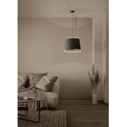 Eglo - Пендел 1xE27/40W/230V черен