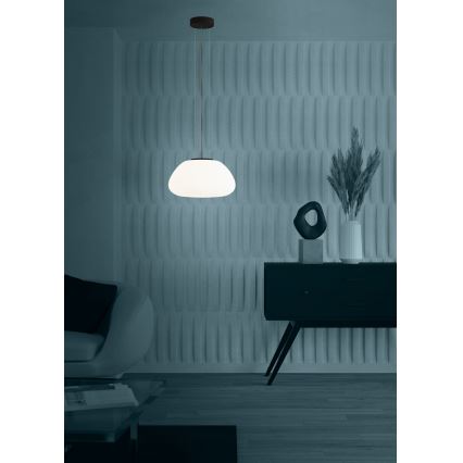 Eglo - Пендел 1xE27/40W/230V черен