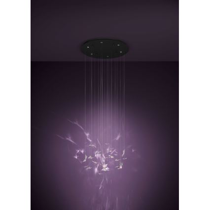 Eglo - LED димируем полилей на кабел 6xLED/4,2W/230V черен/прозрачен