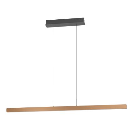 Eglo Stars of Light - LED полилей на кабел с възможност за димиране LED/30W/230V 2200-6500K златист + дистанционно управление