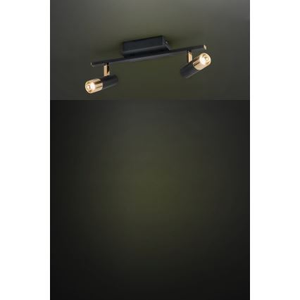 Eglo - LED Точково осветително тяло  2xLED/5W/230V/12V