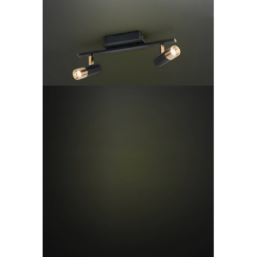 Eglo - LED Точково осветително тяло  2xLED/5W/230V/12V