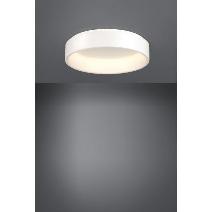 Eglo - LED Димируем плафон 1 LED/35,2W/230V