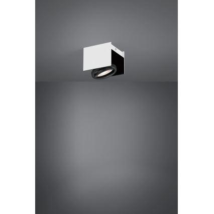 Eglo - LED Димируем спот LED/5,4W/230V