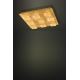 Eglo - LED Димируема лампа 4xLED/5,4W/230V + 9xLED/4,5W