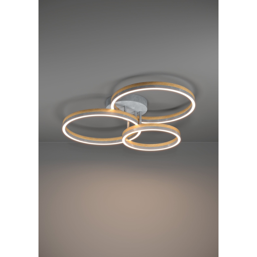 Eglo - LED Димируем полилей за повърхностен монтаж LED/12,5W/230V + 2xLED/15,5W 3000K сив/дъб