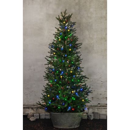 Eglo - LED Екстериорни Коледни лампички LED 160xLED 2м IP44 многоцветни