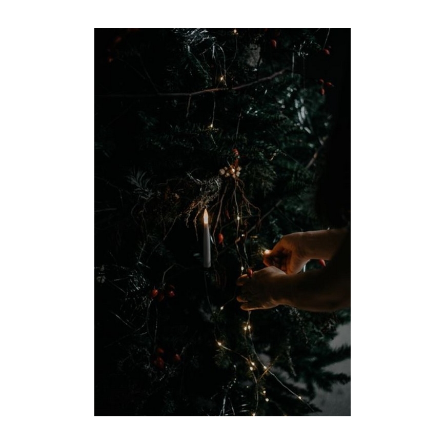 Eglo - Коледна елха 250 см смърч