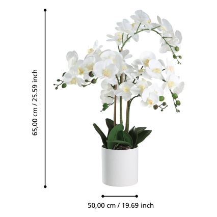 Eglo - Изкуствено растение в саксия 65x50 см орхидея