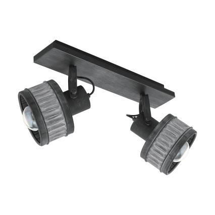 Eglo 43445 - Точково осветително тяло TURROCK 2xE27/28W/230V