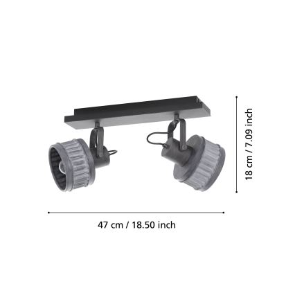 Eglo 43445 - Точково осветително тяло TURROCK 2xE27/28W/230V