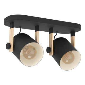 Eglo 43557 - Точково осветително тяло HORNWOOD 2xE27/28W/230V черно