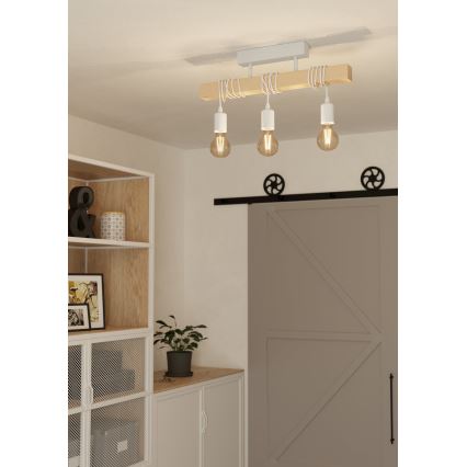 Eglo - Полилей за повърхностен монтаж TOWNSHEND 3xE27/60W/230V