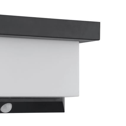 Eglo - LED Соларен аплик със сензор LED/3,84W/3,7V 2000 mAh IP44