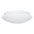 Eglo 68317 - Плафон за баня ELLA PROJEKT 1xE27/20W/230V IP44, диаметър 30 см